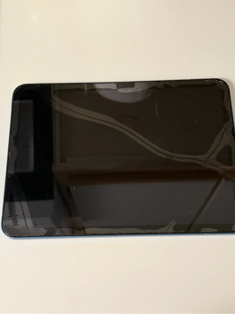 Apple iPad 10TH Generation Blue Aluminum Back Panel with Apple Logo